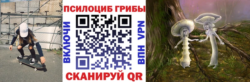 сколько стоит  Копейск  MEGA как войти  Галлюциногенные грибы прущие грибы 