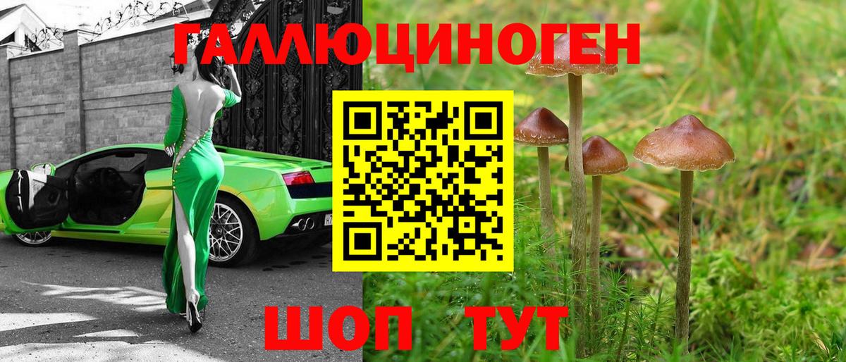 Копейск  Псилоцибиновые грибы ЛСД  Вход с VPN  Галлюциногенные грибы ЛСД 